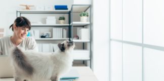 Zuhause gesund am Schreibtisch arbeiten – diese Tipps helfen Schreibtisch Homeoffice